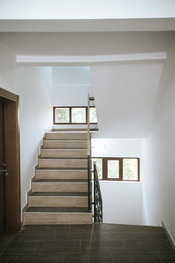 Apartman Kostic Kraljev Konak Κοπαόνικ Εξωτερικό φωτογραφία
